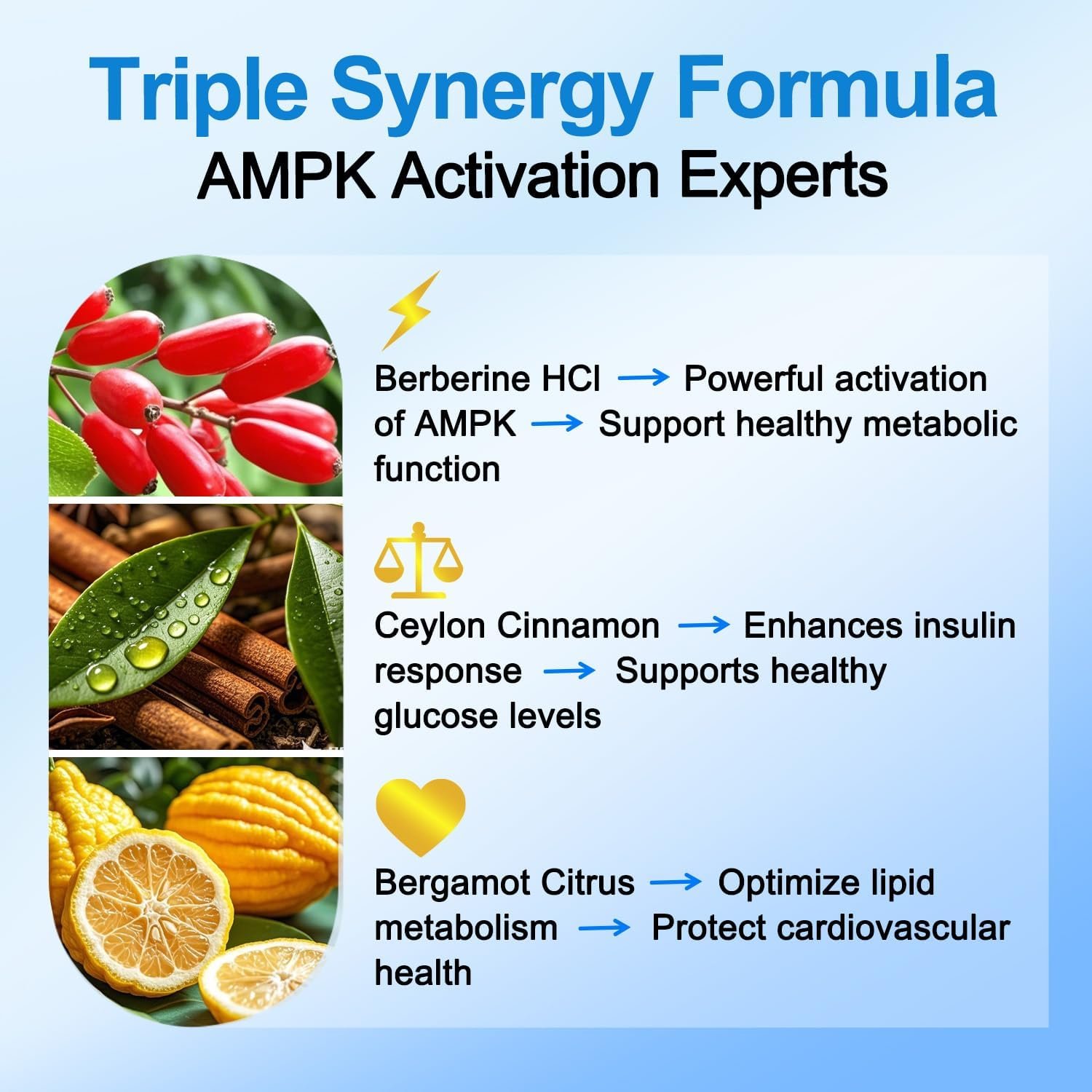 Premium Berberine Supplement Supports AMPK Metabolic, Liposomal Berberine with Ceylon Cinnamon - Classic 1500mg Formula for Healthy Metabolism & Weigh*t - 3X Absorption - Vegan, Non-GMO, 120 Count - Image 6