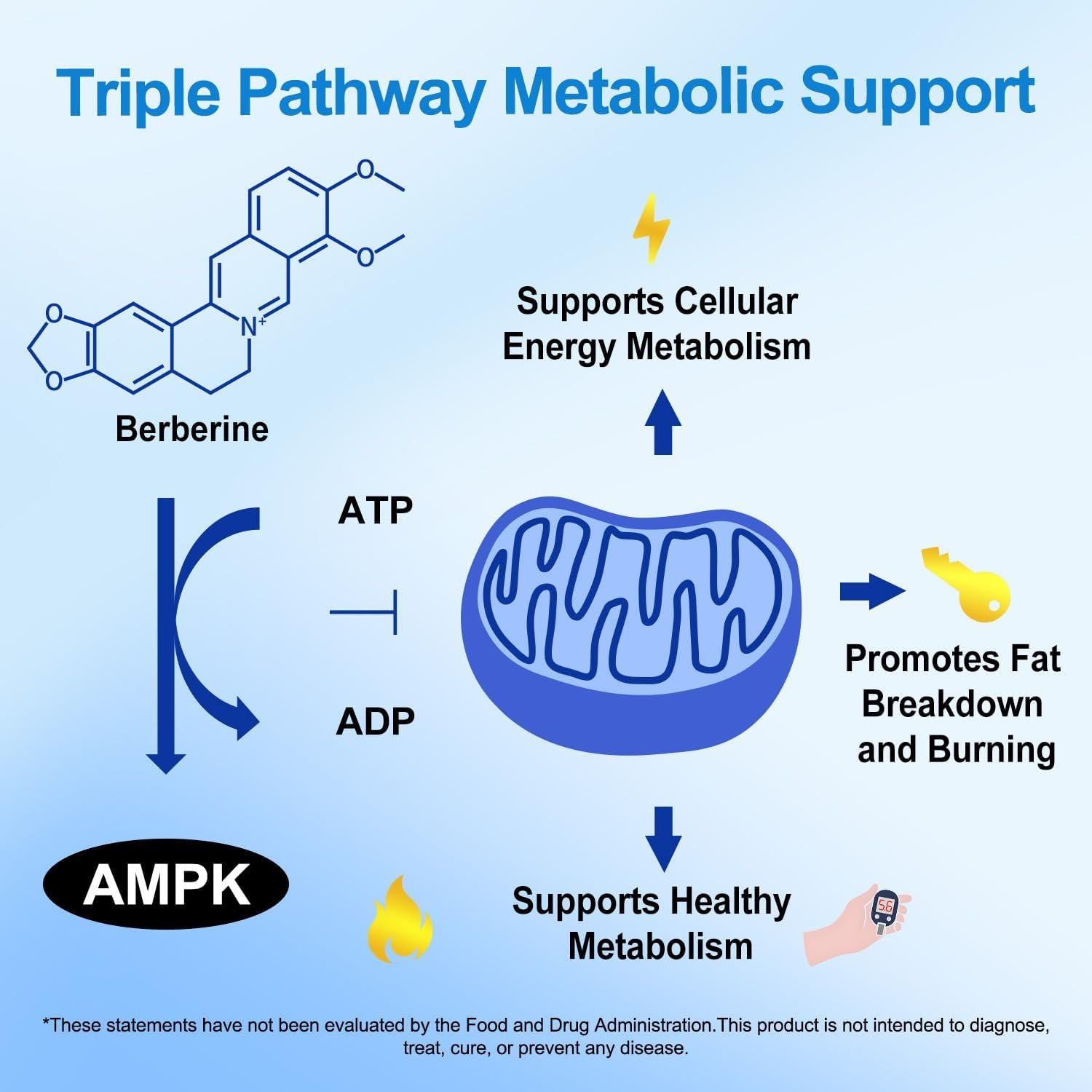 Premium Berberine Supplement Supports AMPK Metabolic, Liposomal Berberine with Ceylon Cinnamon - Classic 1500mg Formula for Healthy Metabolism & Weigh*t - 3X Absorption - Vegan, Non-GMO, 120 Count - Image 3