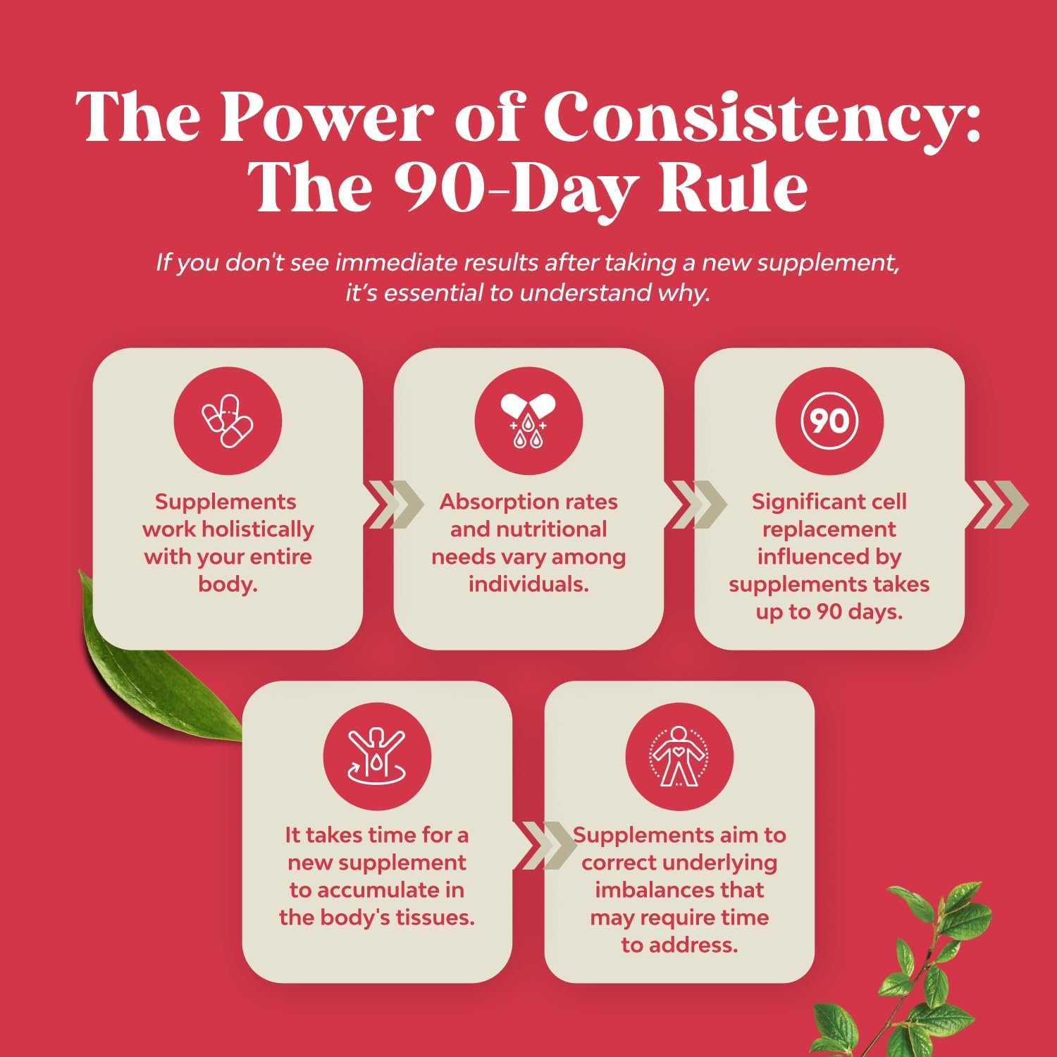 Advanced Antioxidant Superfood Pomegranate Supplement - Natural Pomegranate Extract Polyphenols Supplement for Heart Health and Joint Support - Reds Superfood Powder Capsules for Men and Women 120ct - Image 8