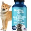 Dog Bad Breath Treatment & Dog Dent...