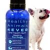 HA4E – Dog Oral Health Supplement ... HA4E – Dog Oral Health Supplement ...