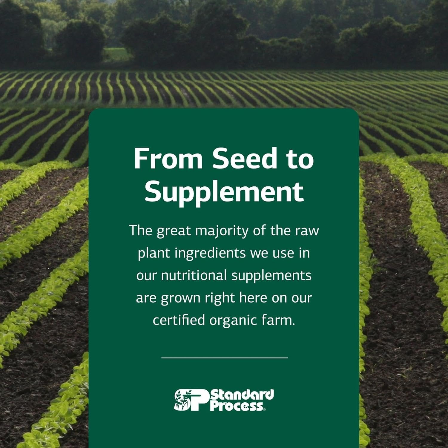 Standard Process Zypan - Digestive Health Support Supplement - HCI Supplement with Pancreatin, Betaine Hydrochloride & Pepsin - Support Macronutrient Digestion - 90 Tablets - Image 7
