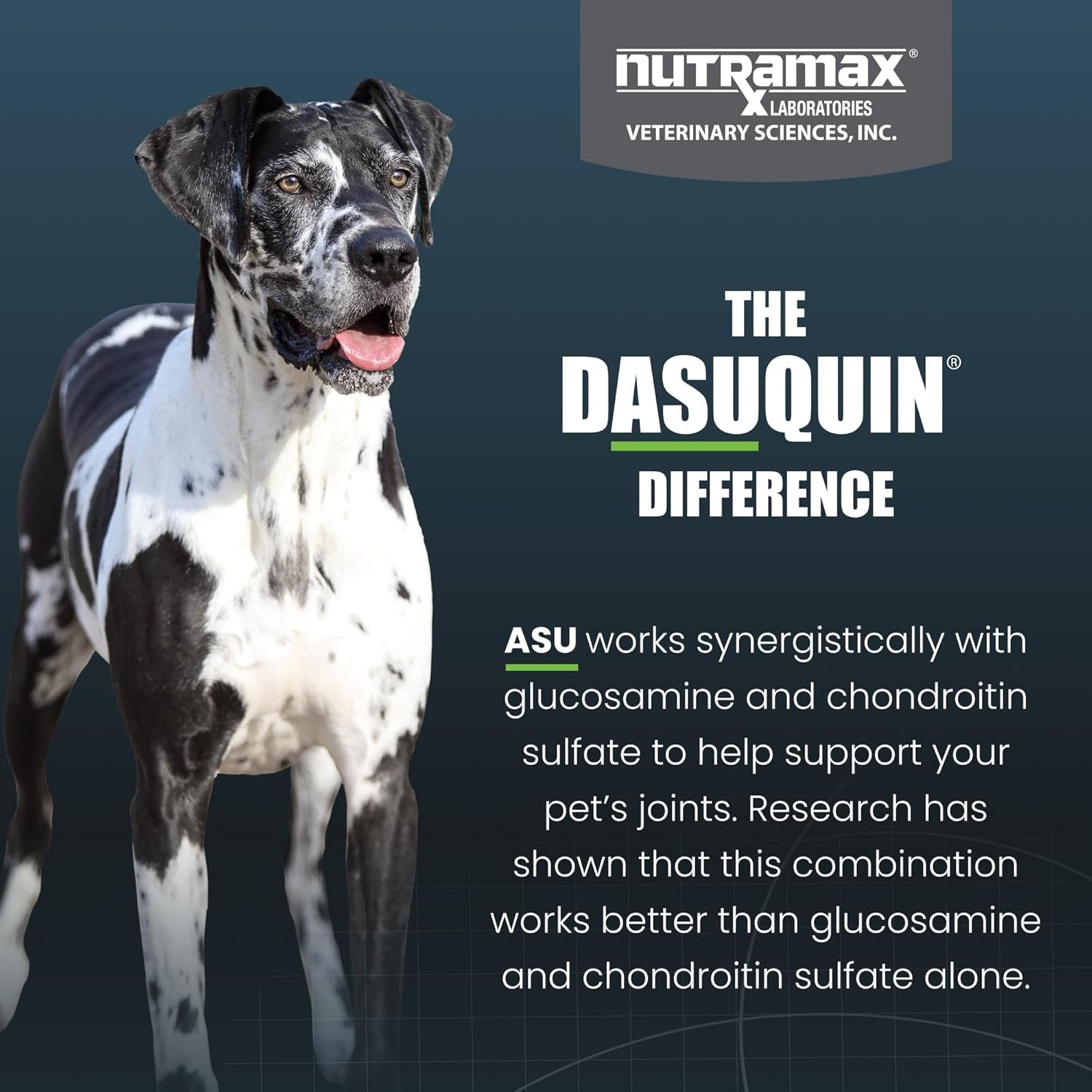 Nutramax Laboratories Dasuquin with MSM Soft Chews Large Dog 84 Count, brown - Image 6