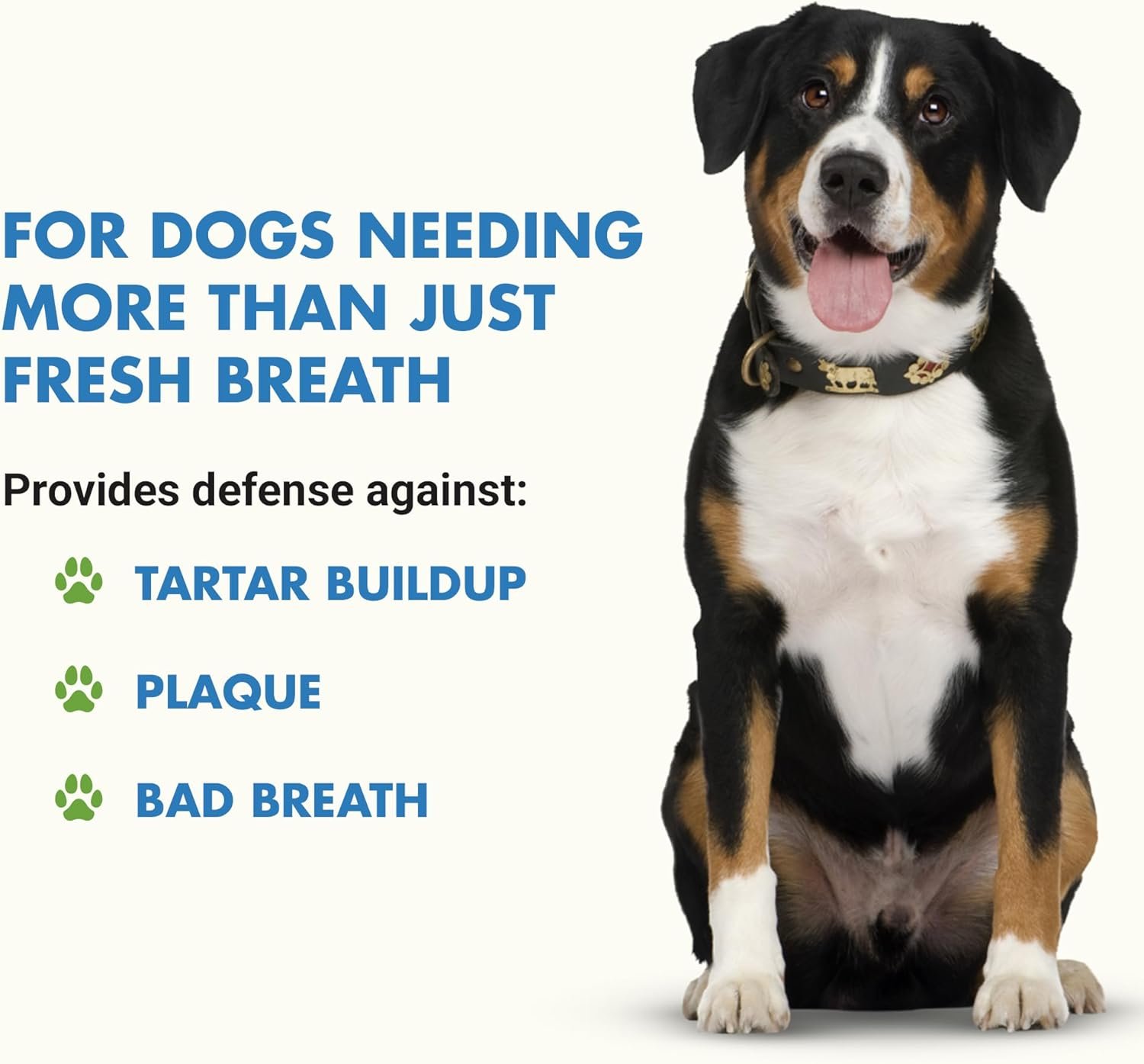 Advanced Teeth & Gums Supplements for Dogs | Dental Care for Dogs | Oral Mouth Care | Tartar + Plaque + Gingivitis - Image 2