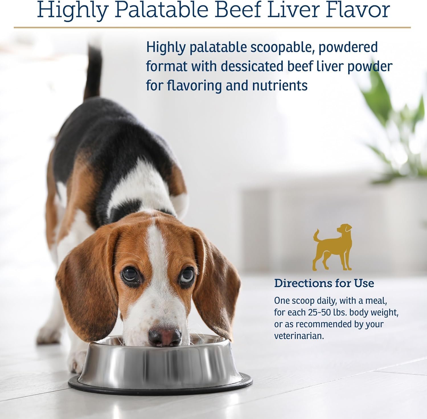 Rx Vitamins Essentials for Dogs - Daily Vitamins & Minerals - with Blue Spirulina, Kelp Powder, and Milk Thistle - Complete Canine Vitamins and Essential Minerals Powder - 8 oz - Image 5