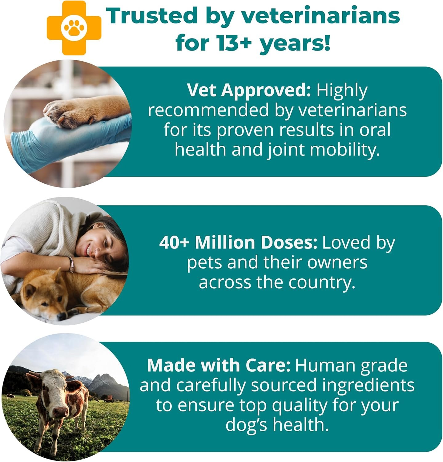 1TDC WorksSoWell Dual Action Joint Supplement for Dogs & Cats - Hip and Joint Supplement for Large Breed & Small Breed - Also Great for Oral Health - Muscle & Stamina Recovery & Arthritis - 120ct - Image 3