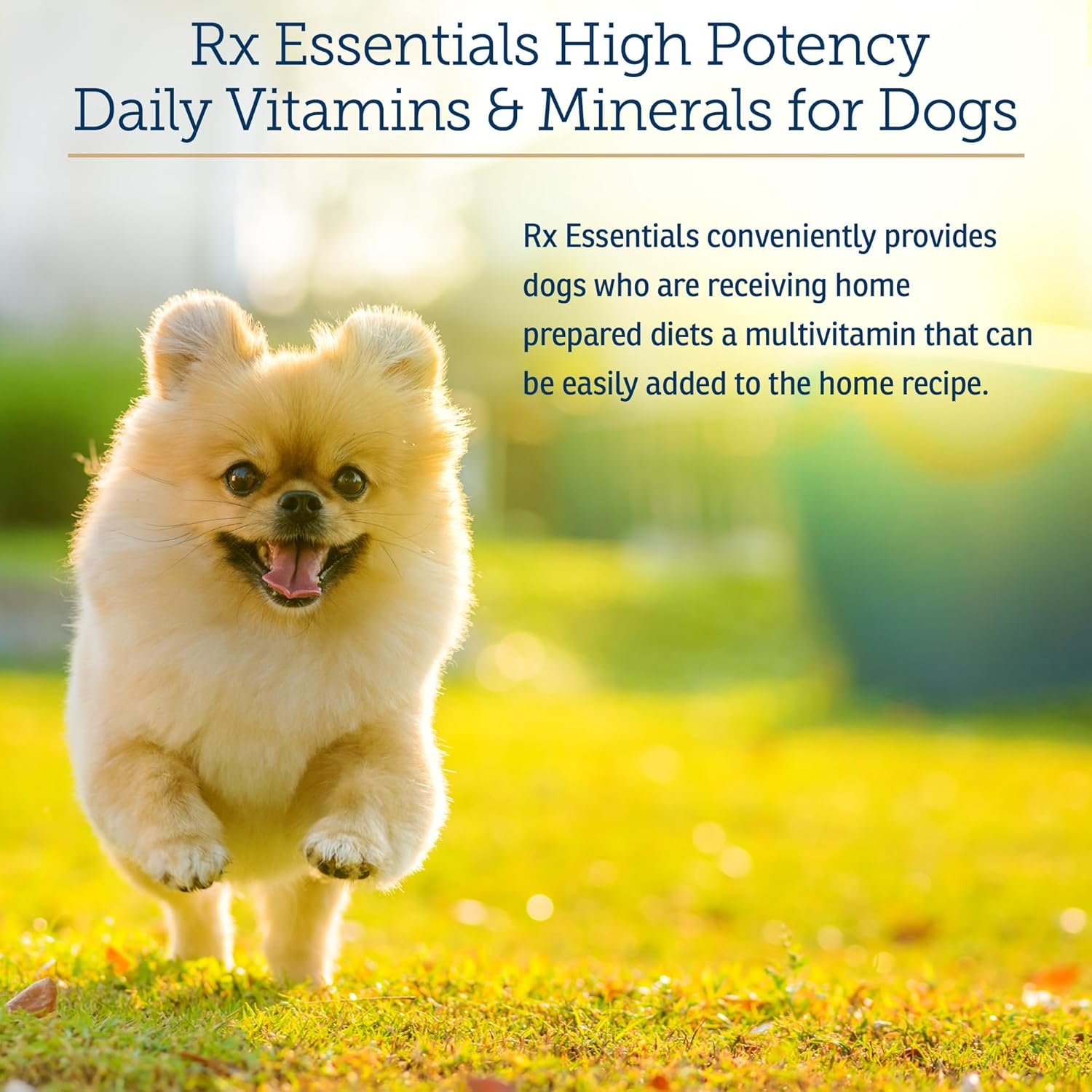 Rx Vitamins Essentials for Dogs - Daily Vitamins & Minerals - with Blue Spirulina, Kelp Powder, and Milk Thistle - Complete Canine Vitamins and Essential Minerals Powder - 8 oz - Image 3