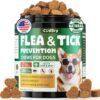 Flea and Tick Prevention for Dogs Chews ... Flea and Tick Prevention for Dogs Chews ...