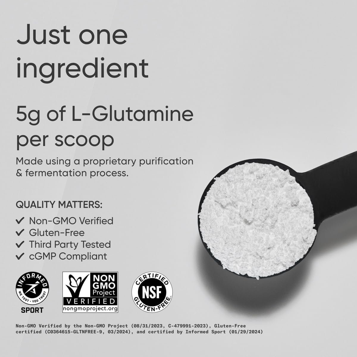 Sports Research L-Glutamine - Workout Recovery, Immune Health & Gut Health Support - 5 G Per Serving - 17.64 Oz - Image 2