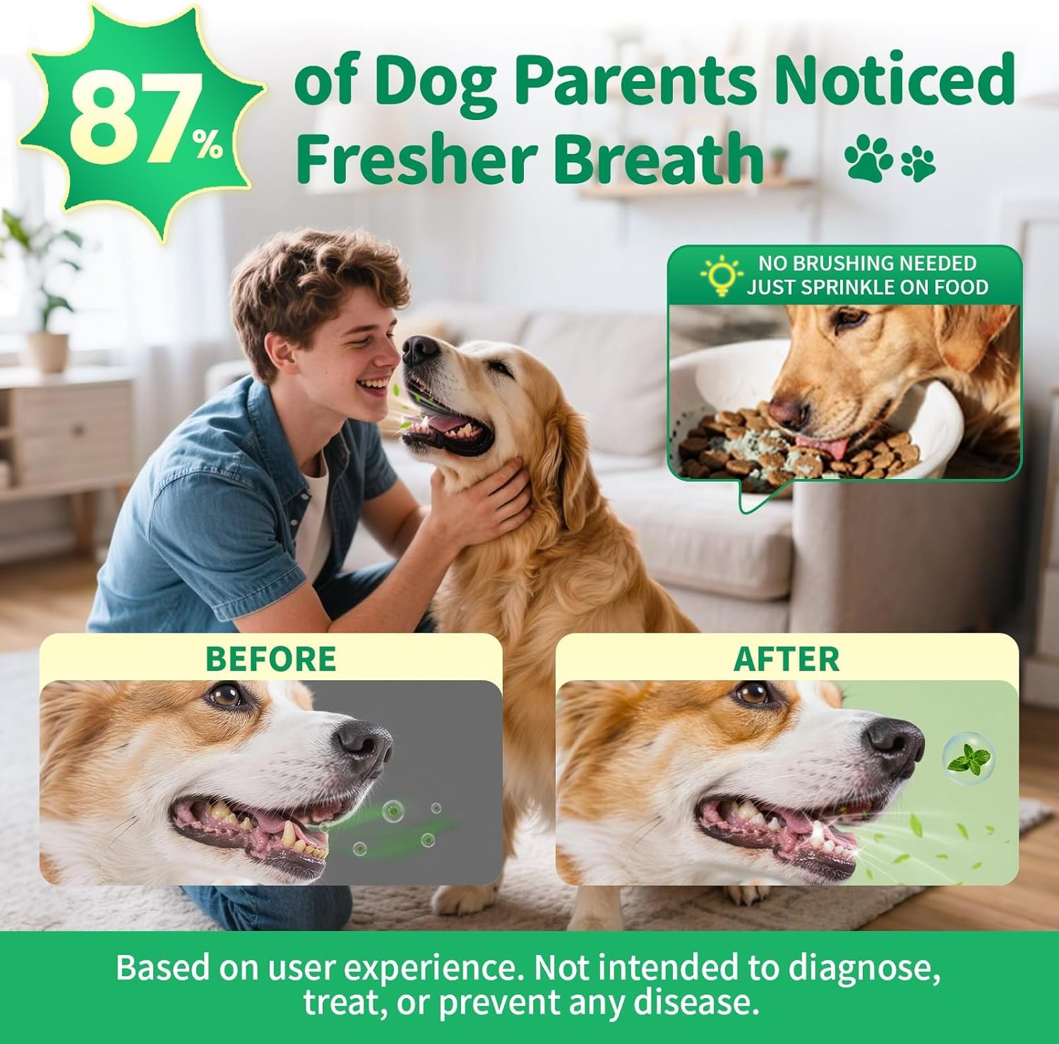 Dog Dental Powder – Teeth Cleaning Powder with 6B CFU Probiotics, Enzymes & Antioxidants, Plaque & Tartar Off, Fresh Breath Support, No Brushing Oral Care, Mint Chicken Flavor, 75 Servings - Image 3