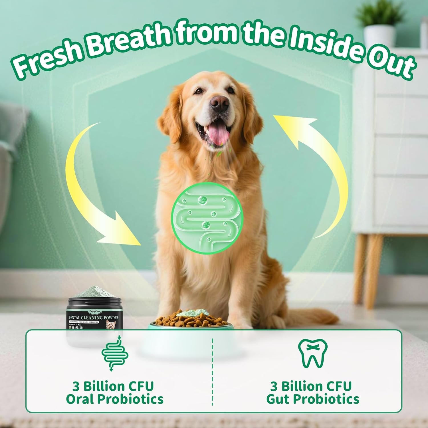 Dog Dental Powder – Teeth Cleaning Powder with 6B CFU Probiotics, Enzymes & Antioxidants, Plaque & Tartar Off, Fresh Breath Support, No Brushing Oral Care, Mint Chicken Flavor, 75 Servings - Image 7