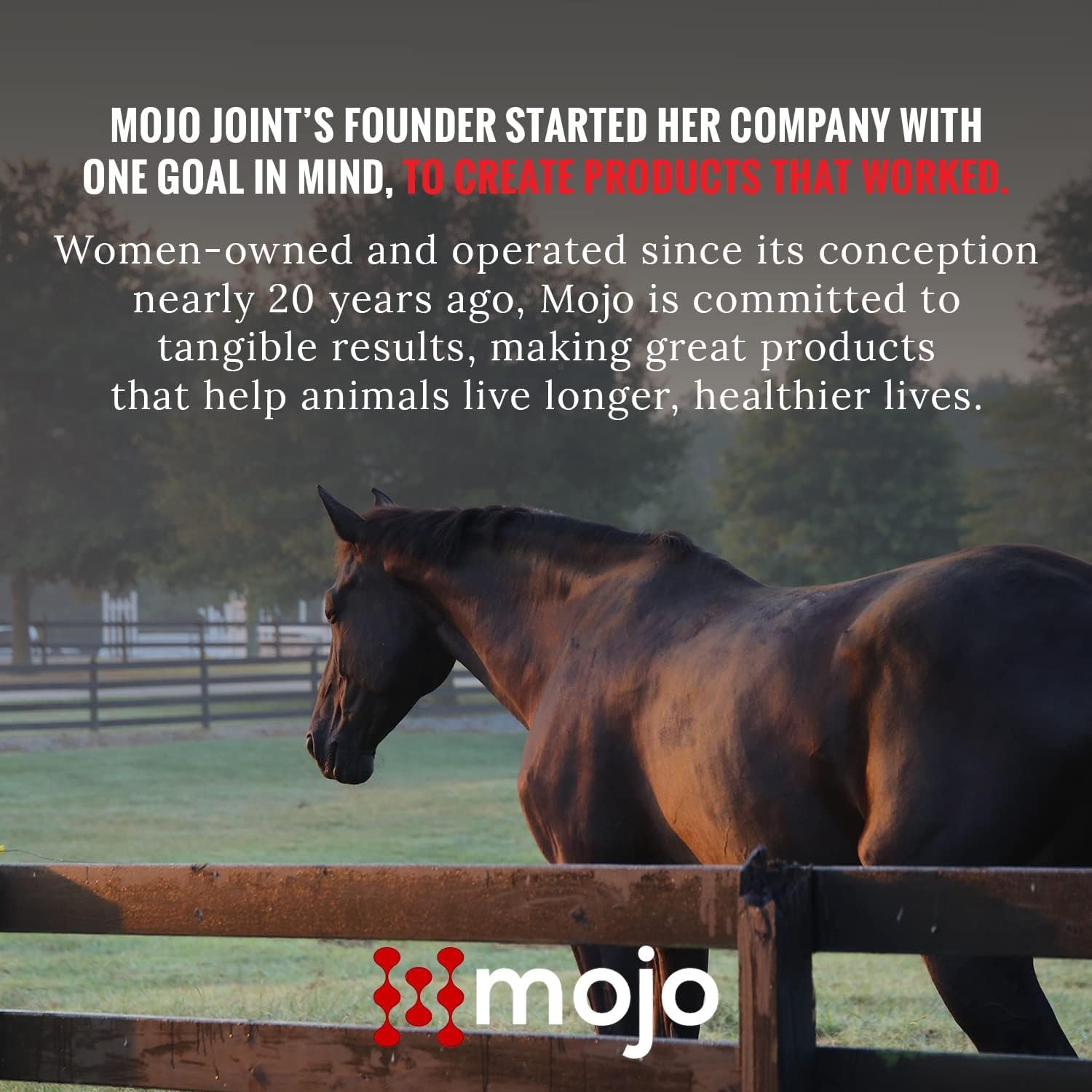 Mojo Joint Horse Supplements, Equine Pelleted Supplement, All Natural Joint Care Supplement for Horses, 4.5 lbs - Image 7