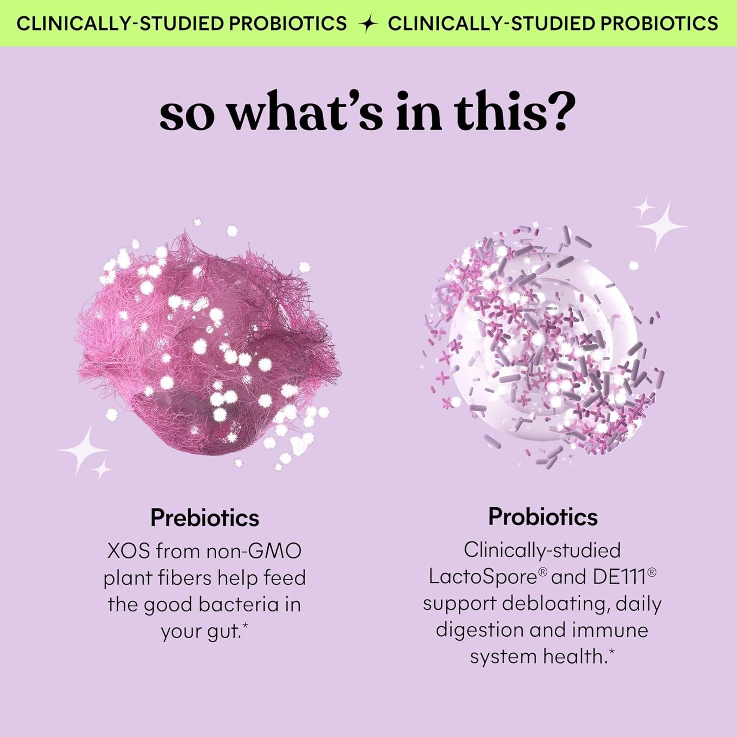 Lemme Debloat - Digestive & Gut Health Gummies with 2 Clinically Studied Probiotics & Prebiotic, Vegetarian, Gluten Free, Non GMO, BlackBerry Flavor (60 Count) - Image 4