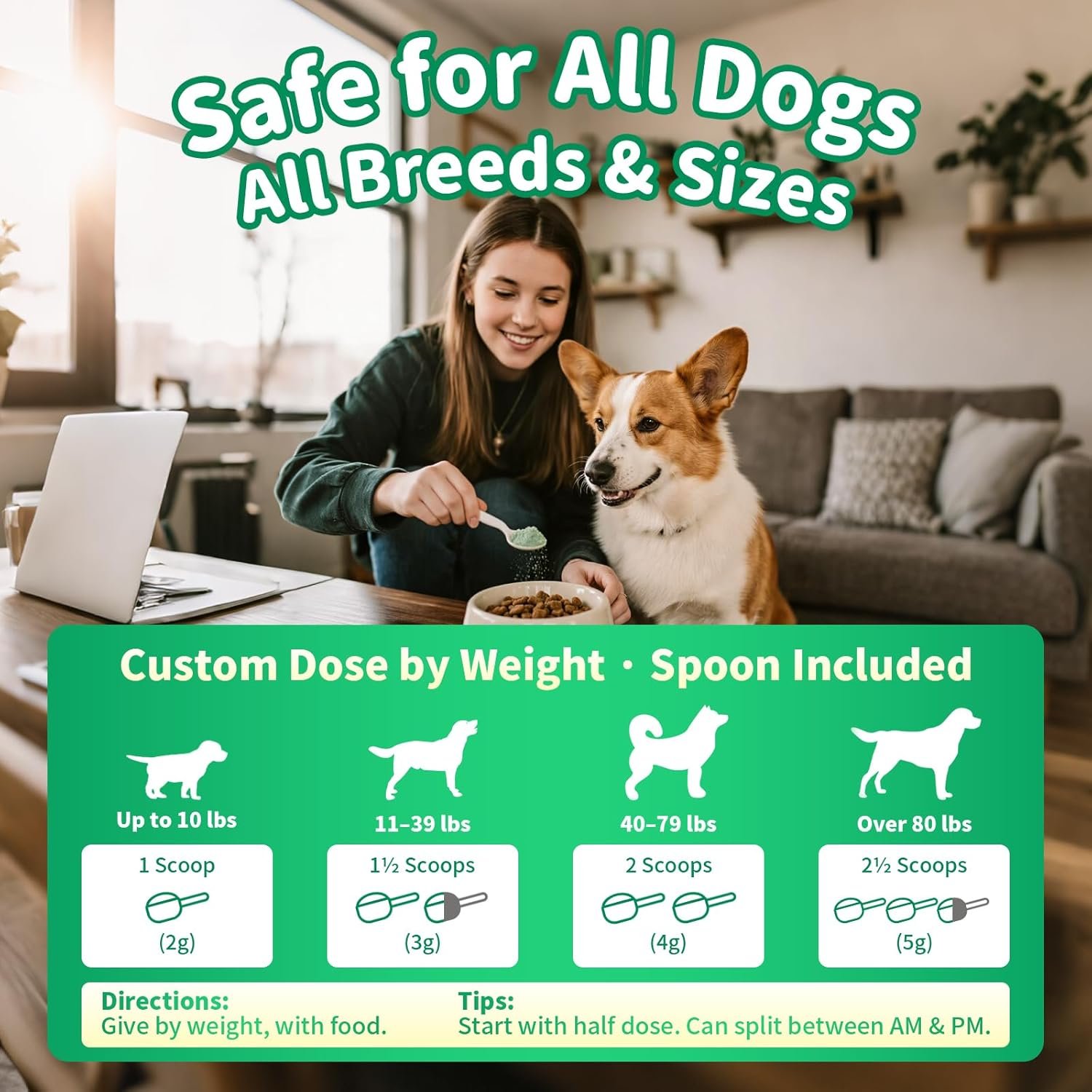 Dog Dental Powder – Teeth Cleaning Powder with 6B CFU Probiotics, Enzymes & Antioxidants, Plaque & Tartar Off, Fresh Breath Support, No Brushing Oral Care, Mint Chicken Flavor, 75 Servings - Image 8