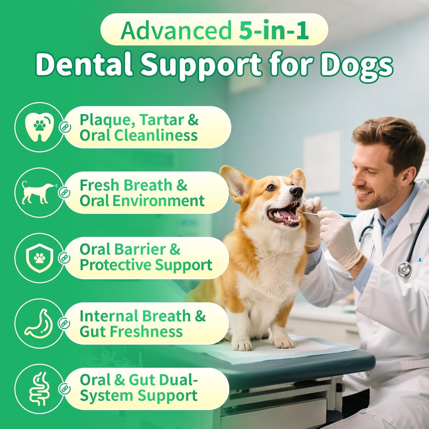 Dog Dental Powder – Teeth Cleaning Powder with 6B CFU Probiotics, Enzymes & Antioxidants, Plaque & Tartar Off, Fresh Breath Support, No Brushing Oral Care, Mint Chicken Flavor, 75 Servings - Image 2