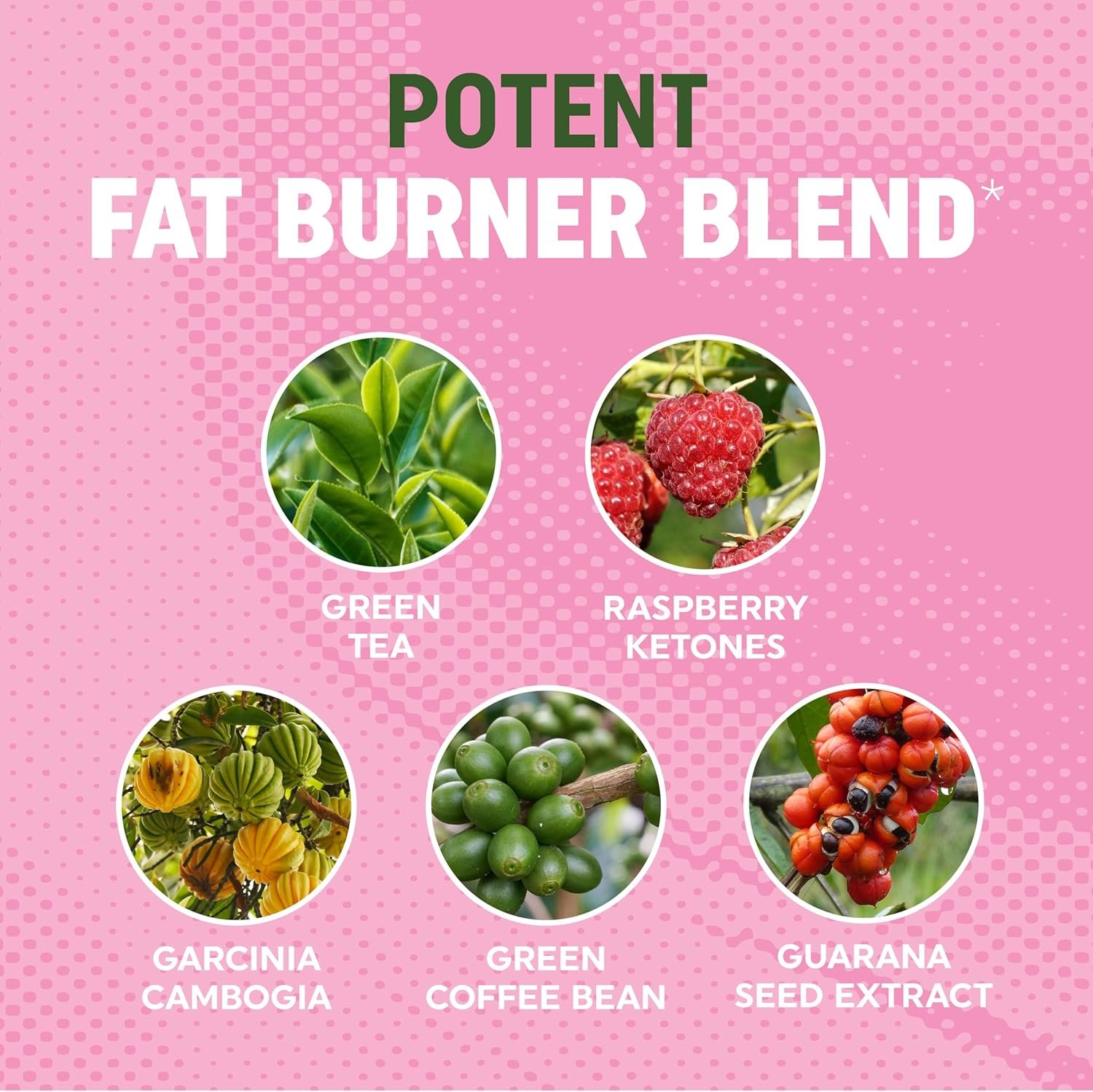 Women’s Fat Burner Gummies for Weight Loss | Green Tea, Green Coffee Bean, Garcinia Cambogia & Ketones | Fat Burners for Women Weight Loss Gummies | Green Tea Fat Burner Supplements | 60 Count - Image 4