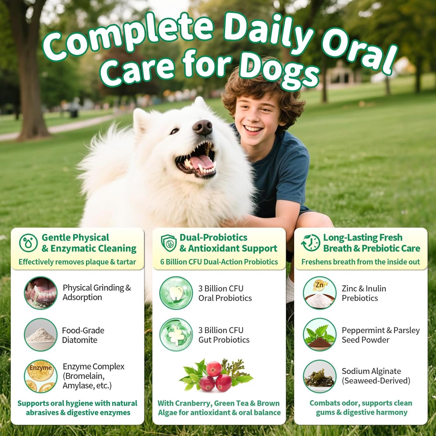 Dog Dental Powder – Teeth Cleaning Powder with 6B CFU Probiotics, Enzymes & Antioxidants, Plaque & Tartar Off, Fresh Breath Support, No Brushing Oral Care, Mint Chicken Flavor, 75 Servings - Image 4
