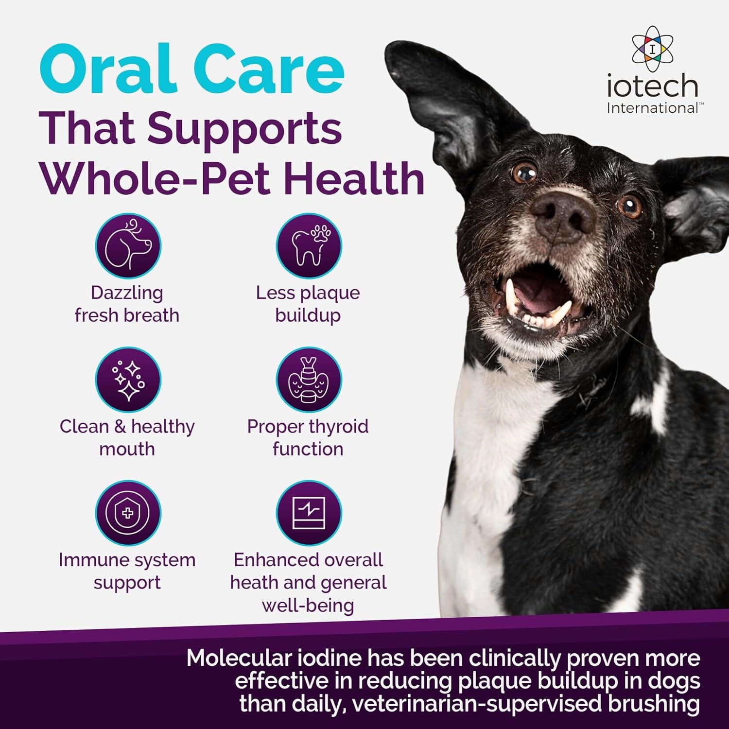 Recommended by Veterinarians Because it Simply Works Better. ioVet Oral Pet Water additive effortlessly Helps Your pet to The Clean, Healthy Mouth & Dazzling Fresh Breath You've Always Hoped for. - Image 4