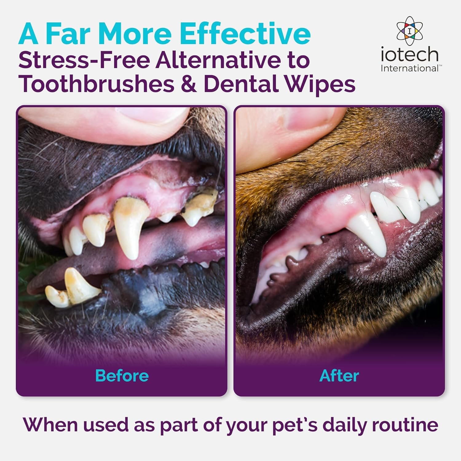Recommended by Veterinarians Because it Simply Works Better. ioVet Oral Pet Water additive effortlessly Helps Your pet to The Clean, Healthy Mouth & Dazzling Fresh Breath You've Always Hoped for. - Image 7