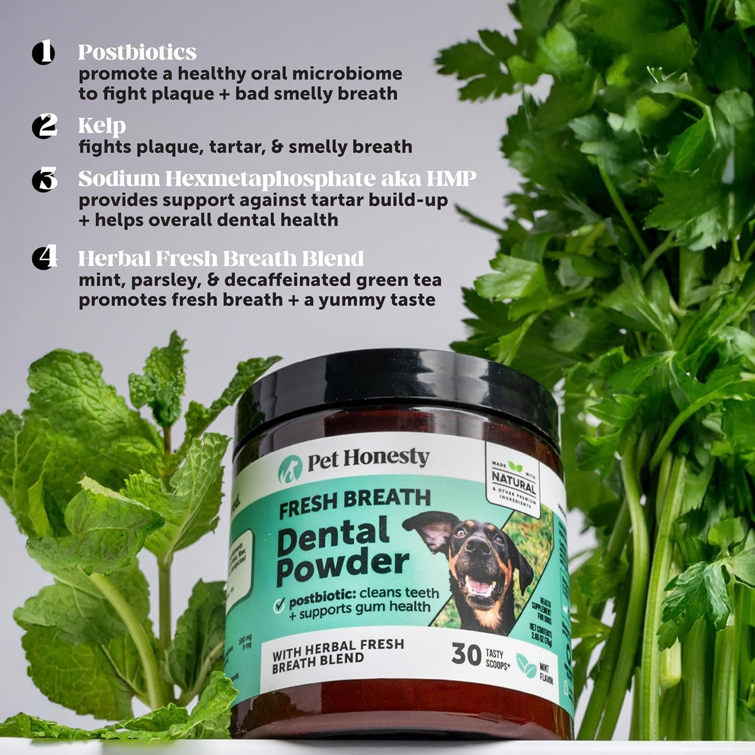 Dog Breath Freshener Dental Powder for Teeth Cleaning Plaque Off, Dental Care for Dogs, Tartar Remover for Teeth with Natural Herbal Blend + Postbiotics (Mint - 30 Servings) - Image 3
