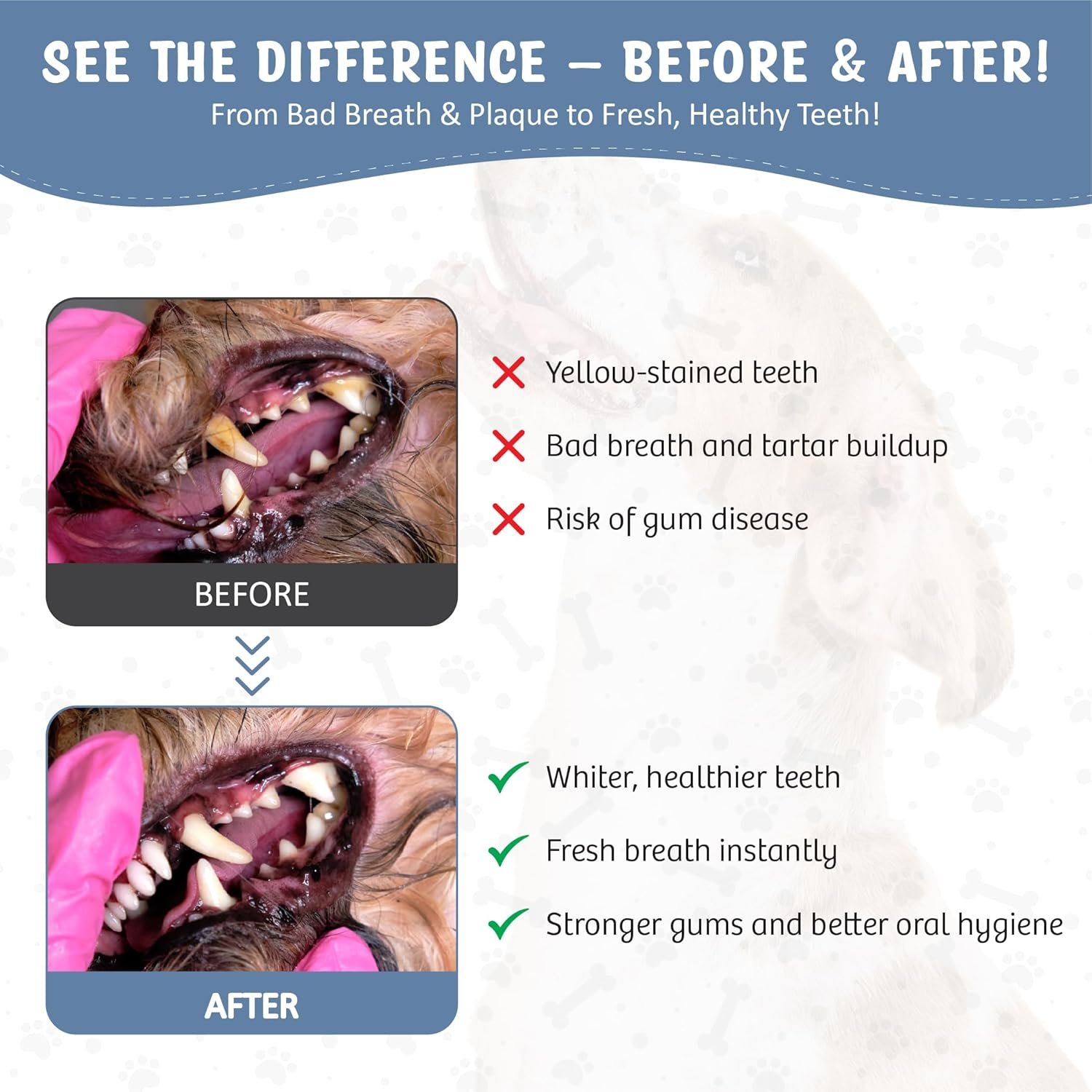 Dog Dental Spray Removes Tartar, Plaque and Freshens Breath Instantly. The Most Advanced Dental Spray for Healthy Teeth, Gums and Oral Health Care for Your Dog, Cat or Pet - 1-8 oz. Bottle - Image 3