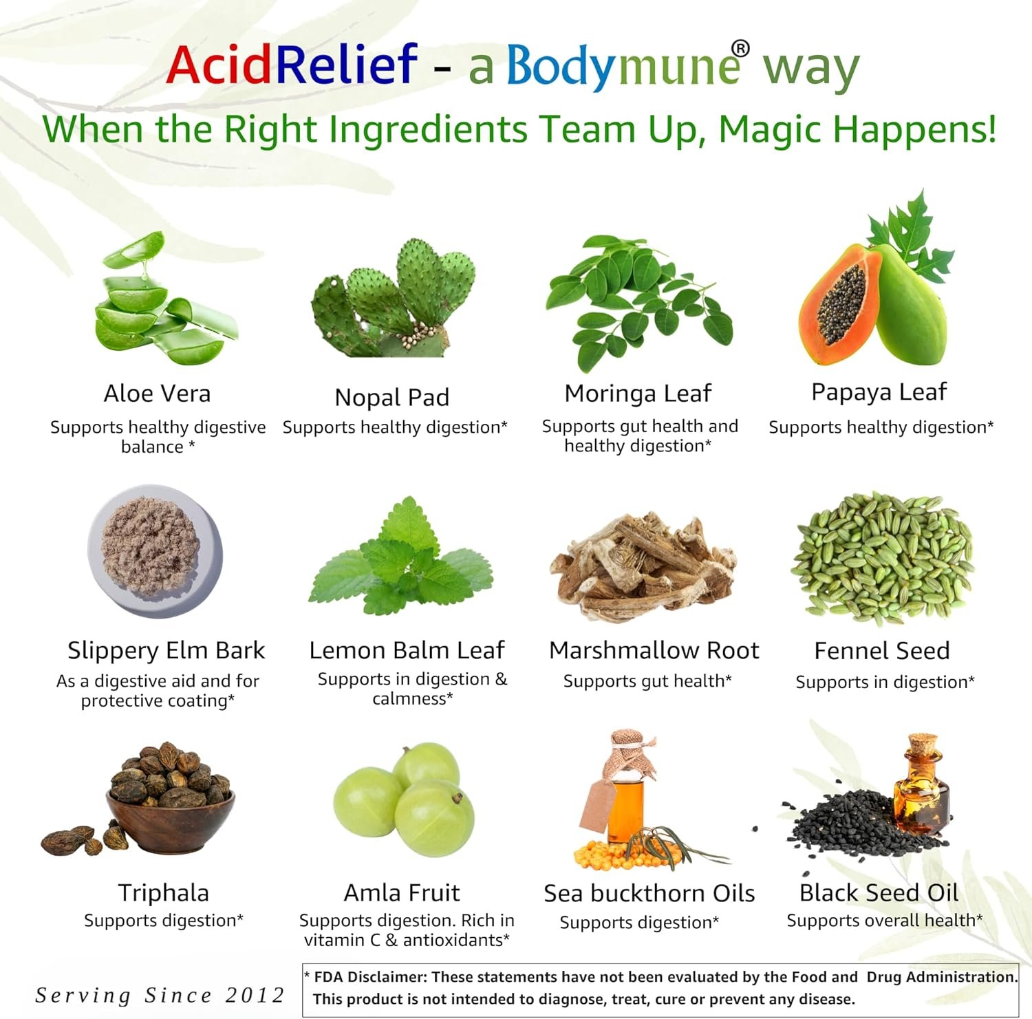 AcidRelief Acid Tamer | Promotes Stomach Comfort & Digestive Wellness* | Organic Herbal Blend for Gut Health* | 30 Capsules | Made in USA, USDA Organic, Vegan, Non-GMO, Gluten-Free - Image 4
