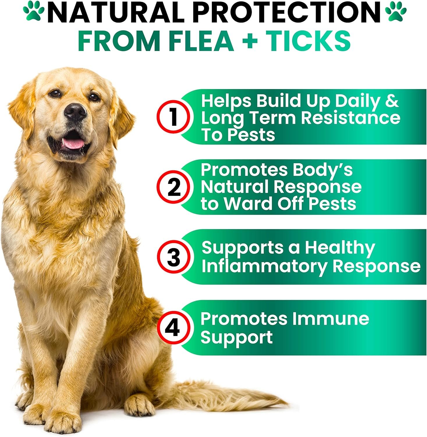 Flea and Tick Prevention for Dogs Chewables - Made in USA - Natural Flea and Tick Chews Supplement - Oral Pills for Dogs - Pest Defense - All Breeds and Ages - 120 Soft Tablets - Image 4