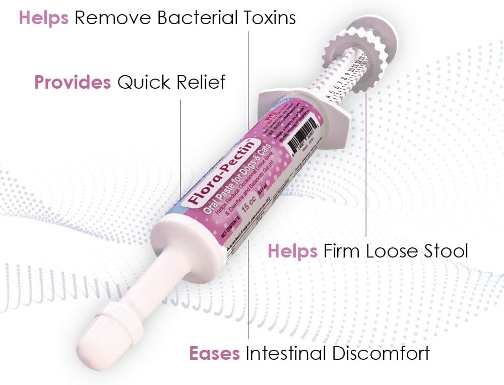 Oral Paste for Dogs & Cats-Helps Reduce Occasional Loose Stool & Diarrhea, Balance Gut pH, Support Normal Digestion & Intestinal Flora-Fast Acting (15 CC - Tasty Chicken Flavor) - Image 2