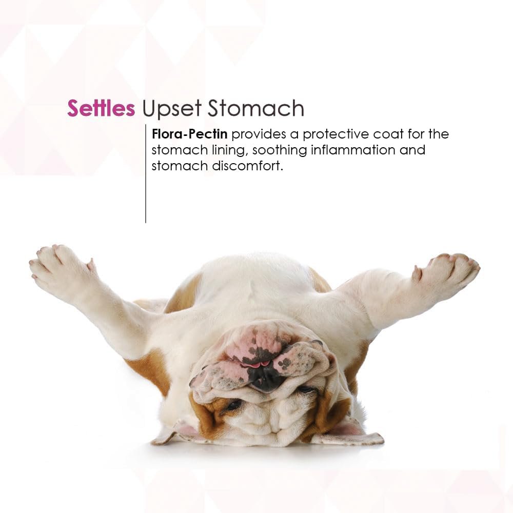 Oral Paste for Dogs & Cats-Helps Reduce Occasional Loose Stool & Diarrhea, Balance Gut pH, Support Normal Digestion & Intestinal Flora-Fast Acting (15 CC - Tasty Chicken Flavor) - Image 7