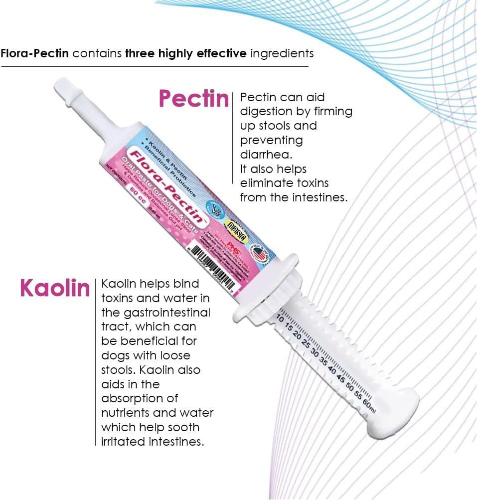 Oral Paste for Dogs & Cats-Helps Reduce Occasional Loose Stool & Diarrhea, Balance Gut pH, Support Normal Digestion & Intestinal Flora-Fast Acting (15 CC - Tasty Chicken Flavor) - Image 5