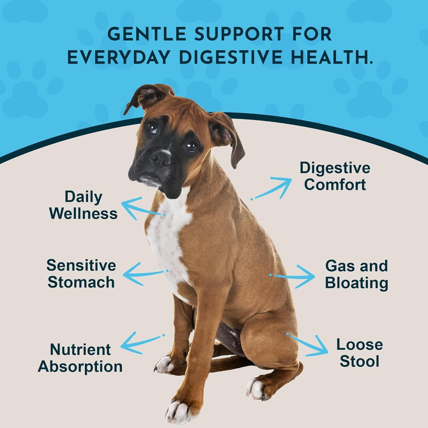 Animal Essentials Daily Digestion for Dogs & Cats - Digestive Support, Fresh Breath, Ginger Root, Fennel Seed Extract, Liquid Supplement - 1 Fl Oz - Image 3
