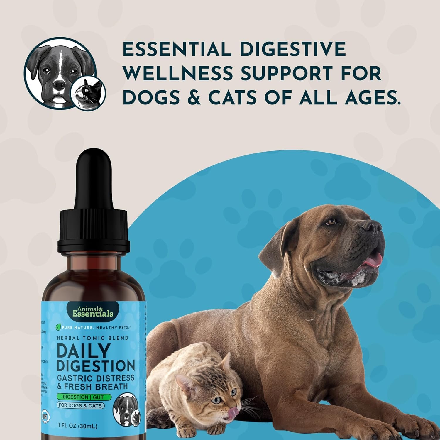 Animal Essentials Daily Digestion for Dogs & Cats - Digestive Support, Fresh Breath, Ginger Root, Fennel Seed Extract, Liquid Supplement - 1 Fl Oz - Image 8