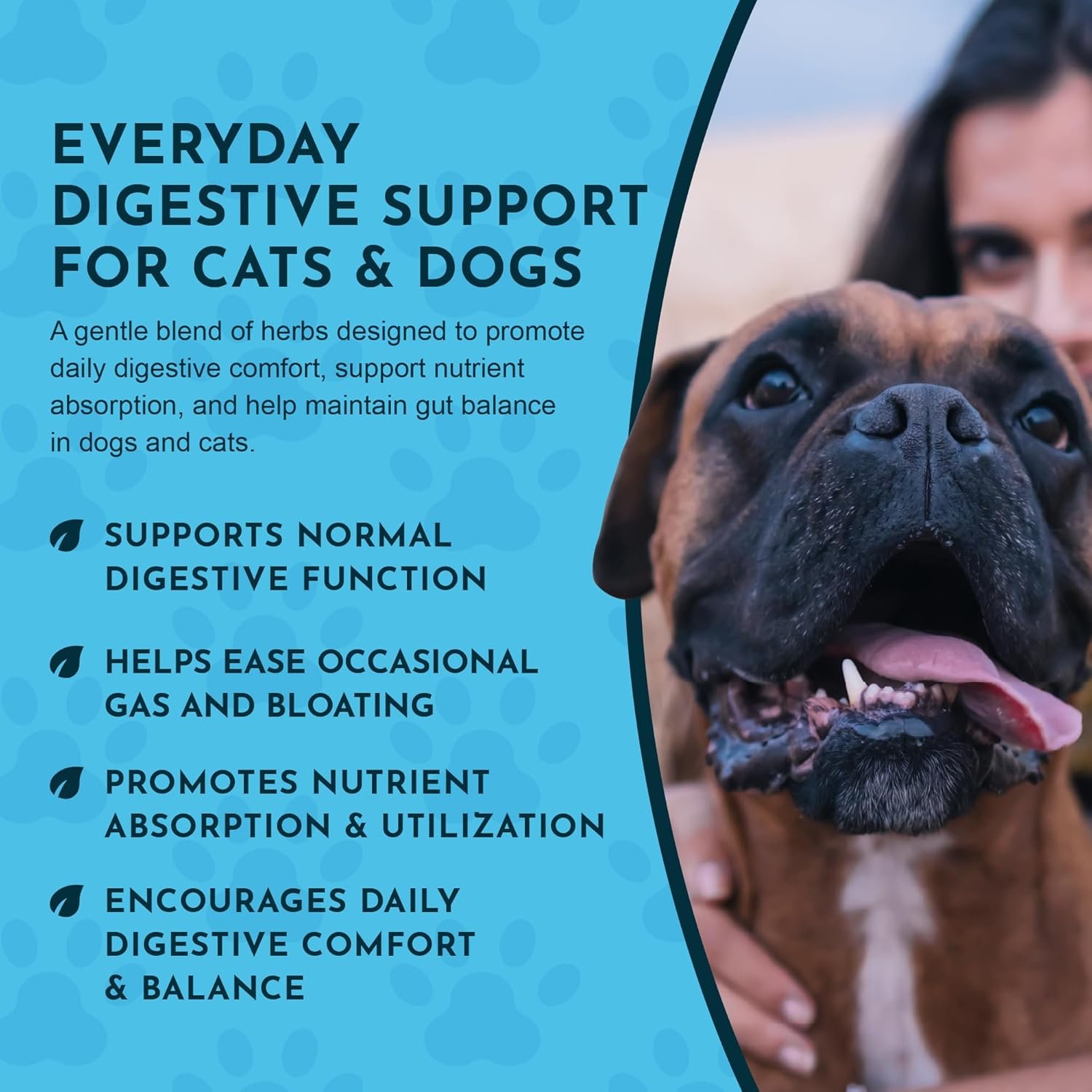 Animal Essentials Daily Digestion for Dogs & Cats - Digestive Support, Fresh Breath, Ginger Root, Fennel Seed Extract, Liquid Supplement - 1 Fl Oz - Image 6