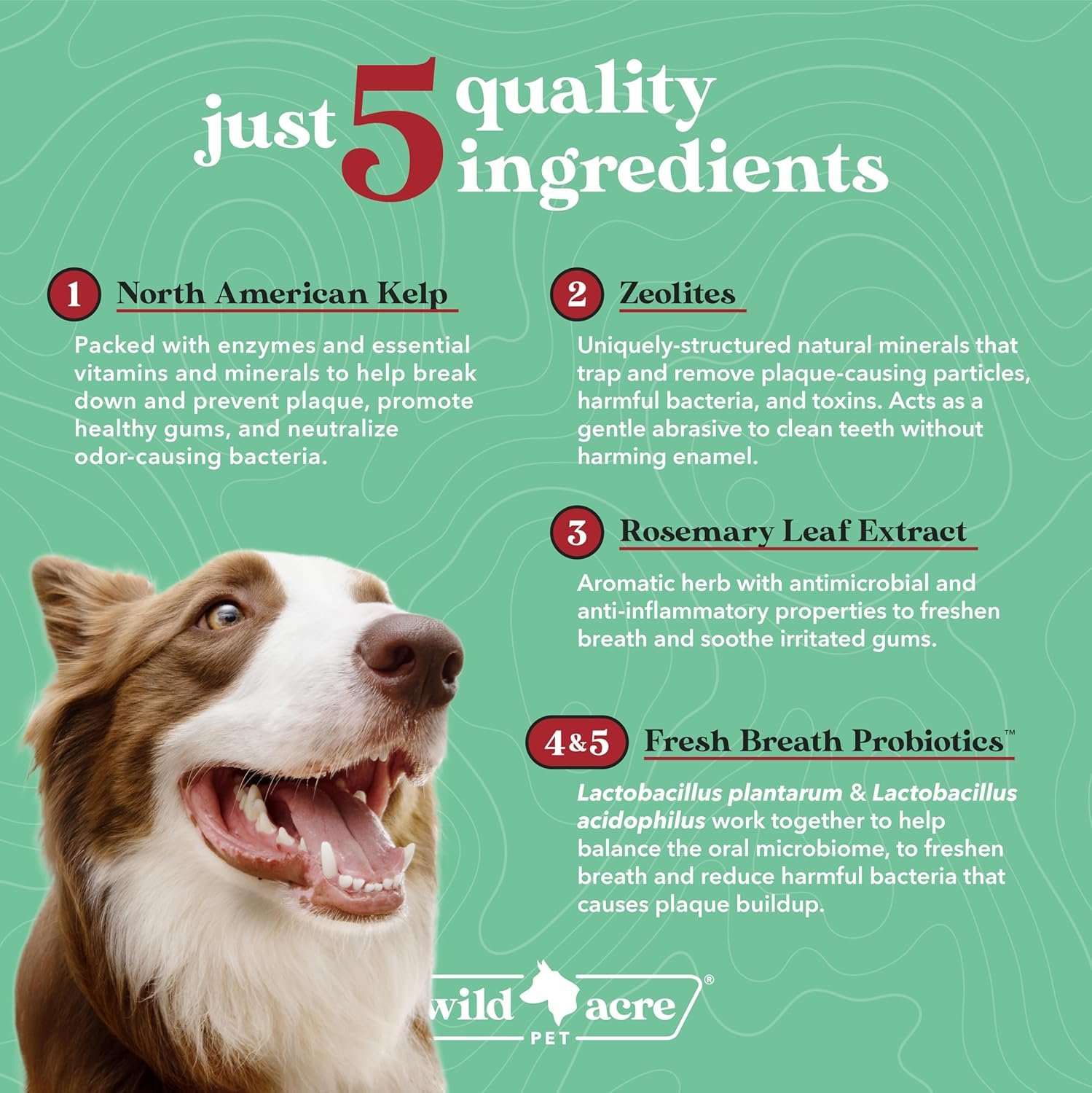 Wild Acre Dental Powder for Dogs - Dog Breath Freshener Dental Powder for Teeth Cleaning Plaque Off, Dental Care for Dogs, Tartar Remover for Teeth - Fresh Breath Probiotics - Image 2