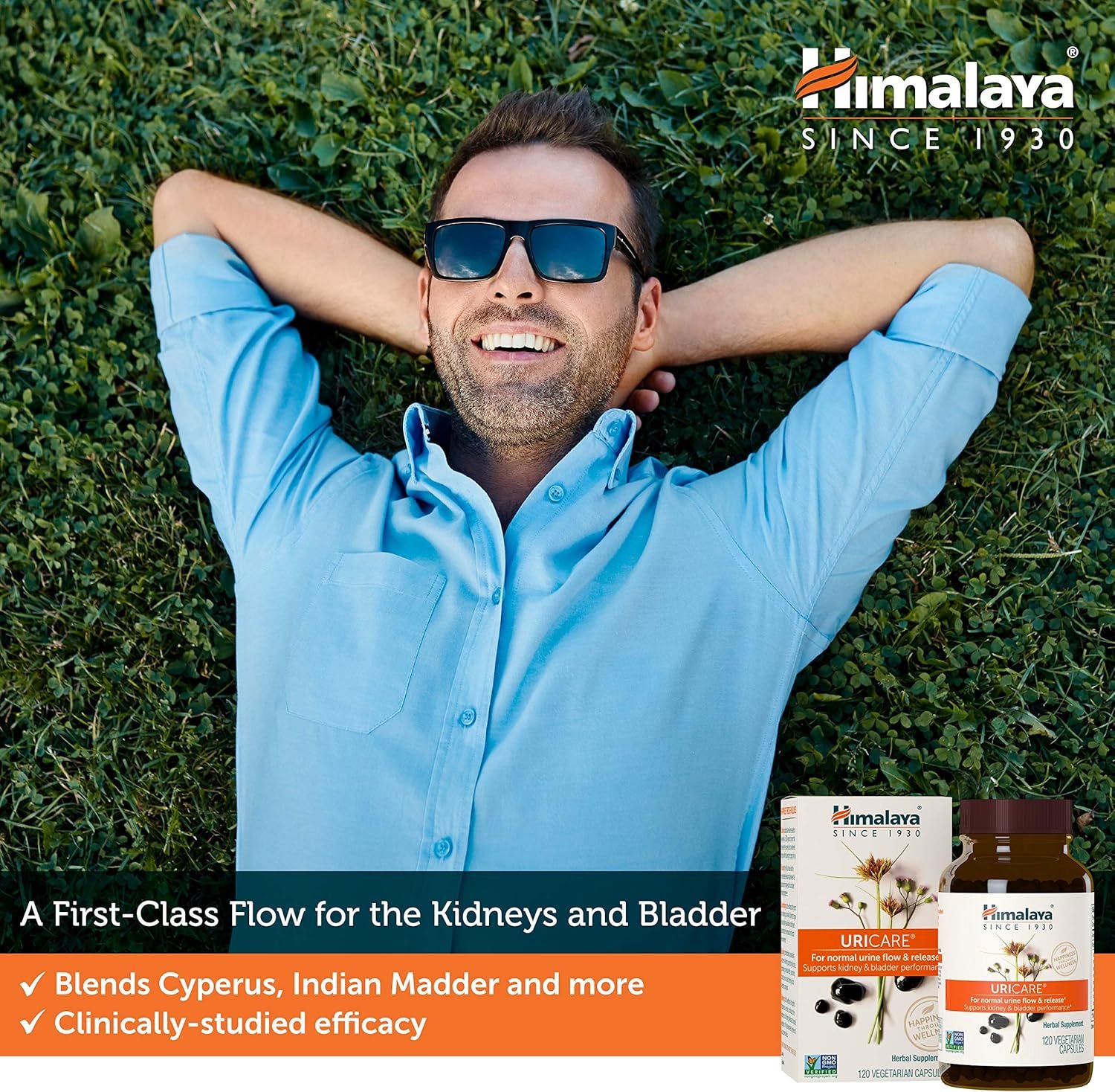 Himalaya UriCare – Herbal Kidney & Bladder Support with Shilajeet, Didymocarpus & Pasanabheda – Promotes Urinary Tract Health & Comfortable Urine Flow – Non-GMO, Gluten-Free, Vegetarian – 120 Capsules - Image 3